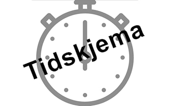 Nyttårsleker